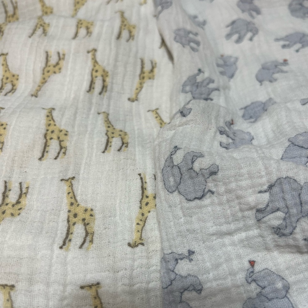 Set of 2 Aden + Anais Essentials Muslin Blankets